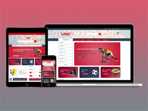 Sports Accessories